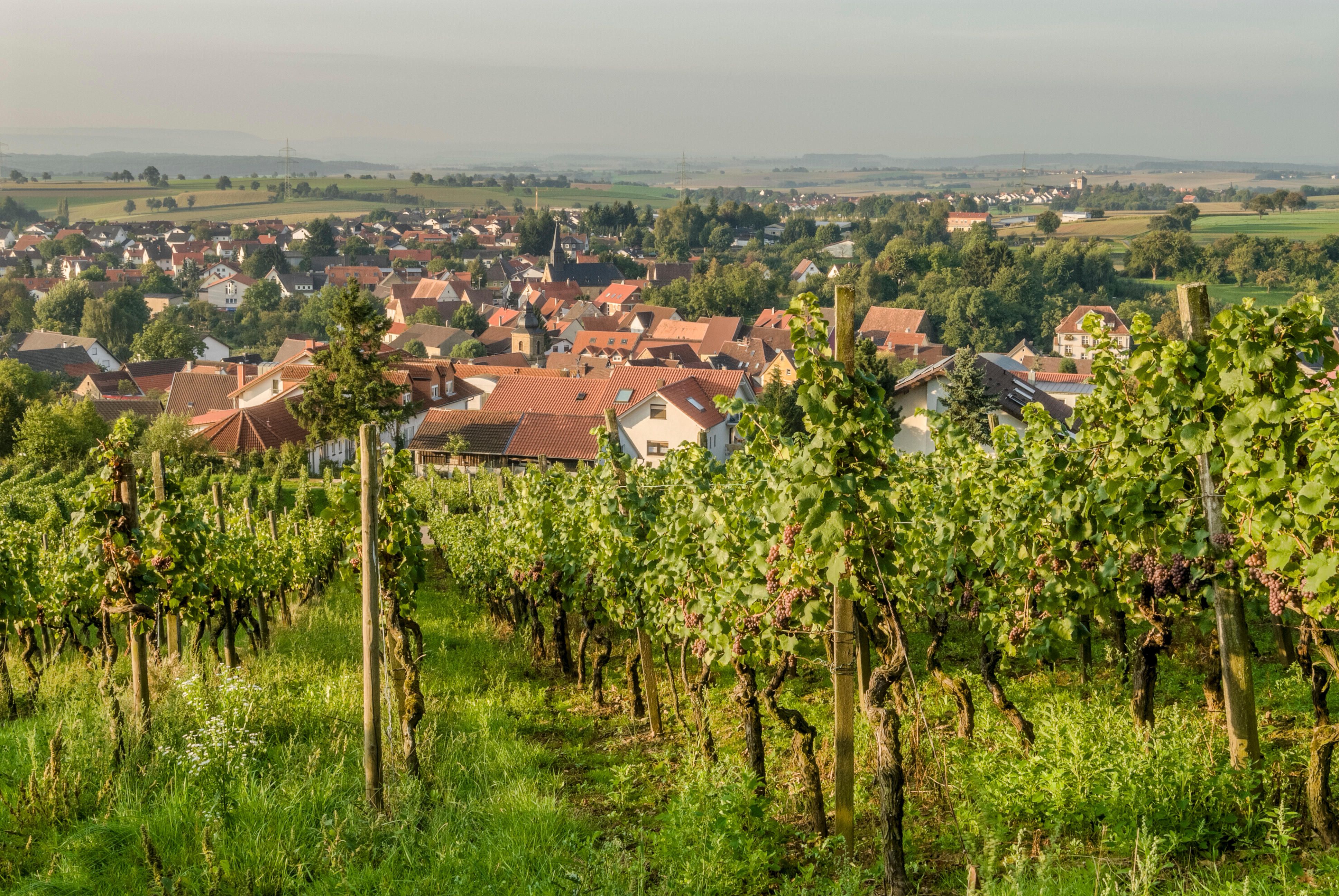 Sinsheim, Germany Holiday Rentals, Apartments & Condos