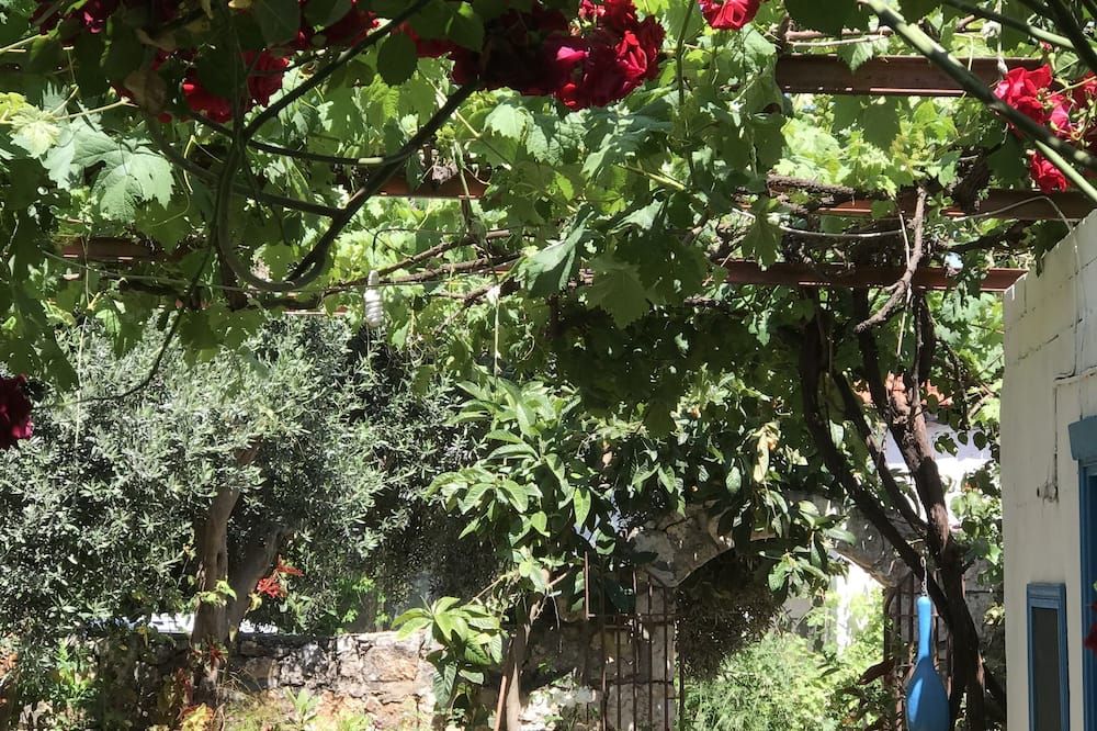 Outdoor view