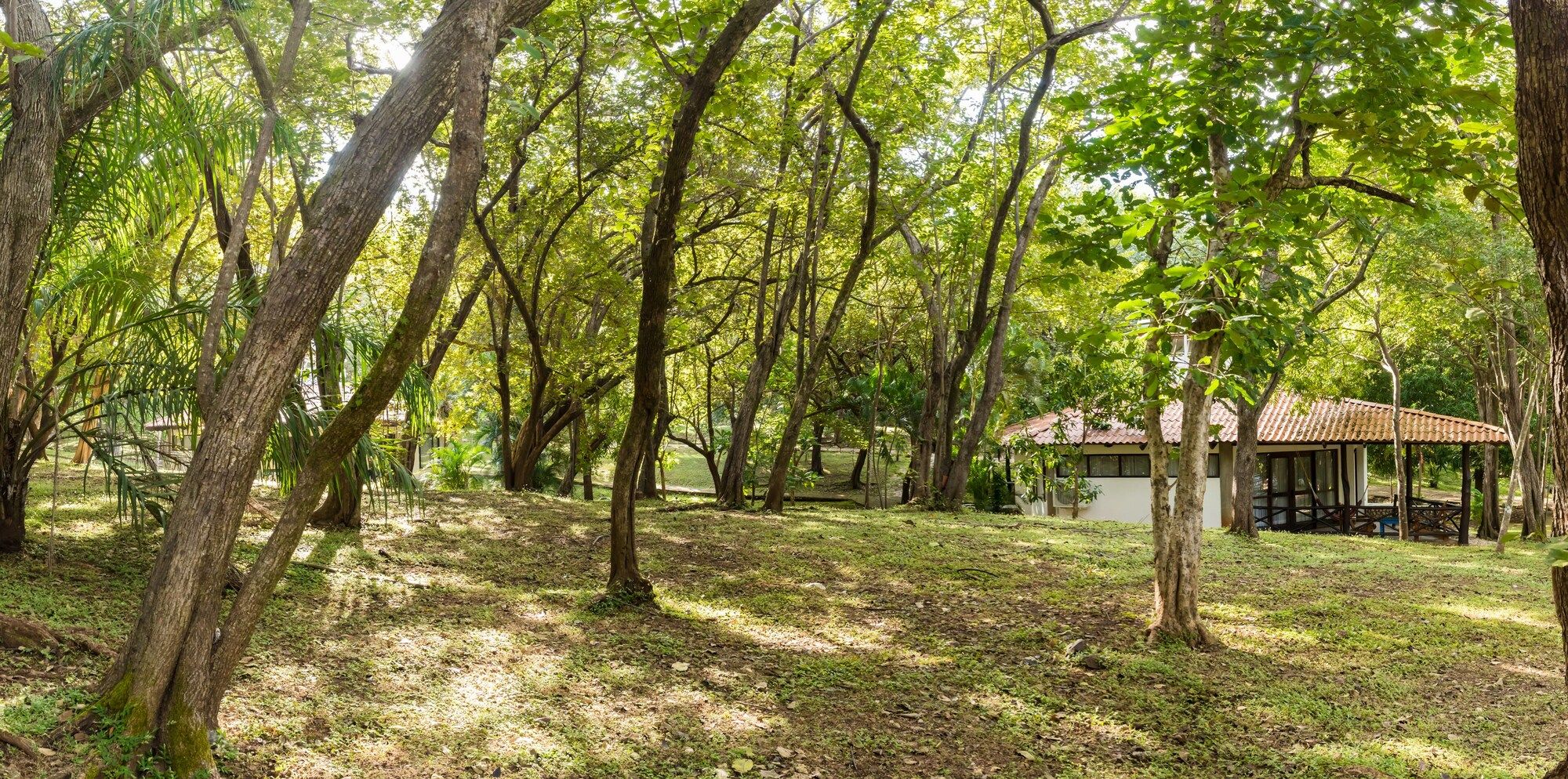 Outdoor view