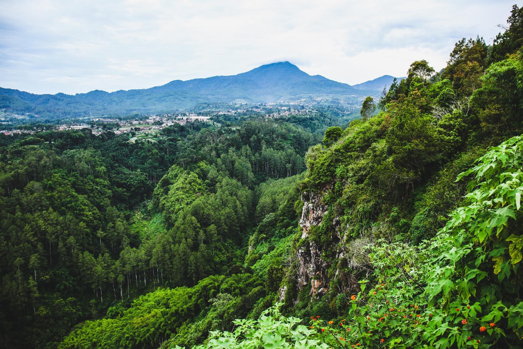 Outdoor view