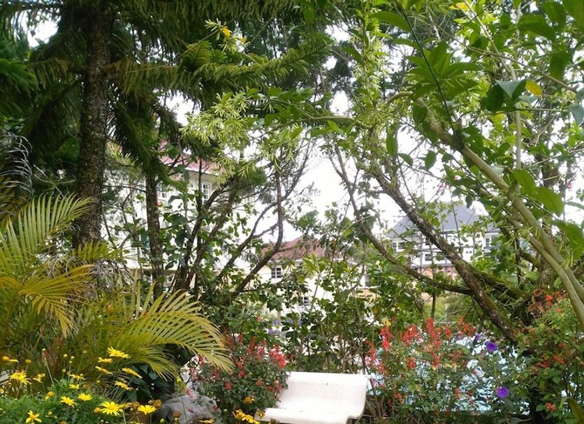 Outdoor view Photo