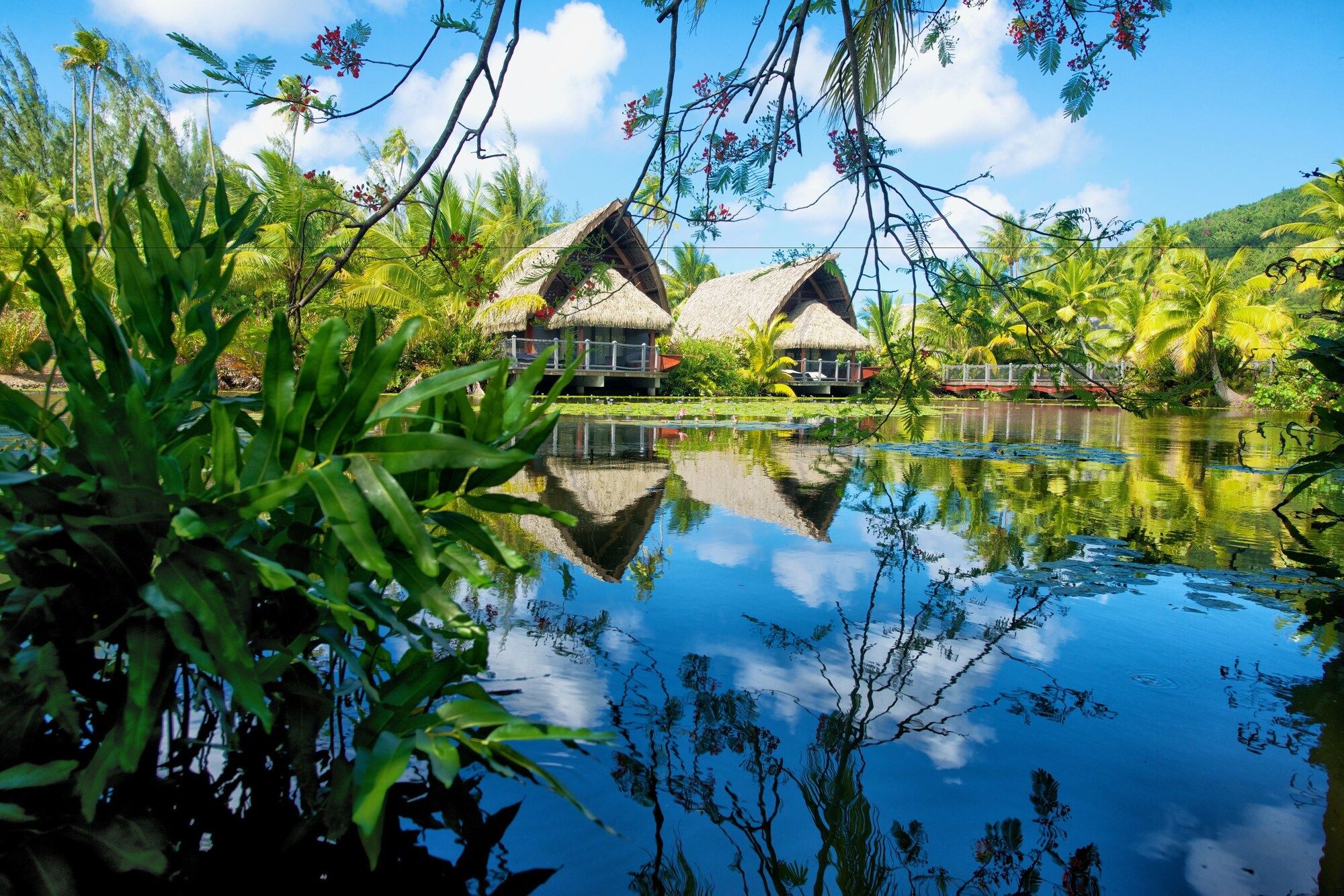 Outdoor view