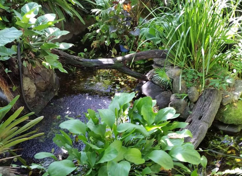 Outdoor view Photo