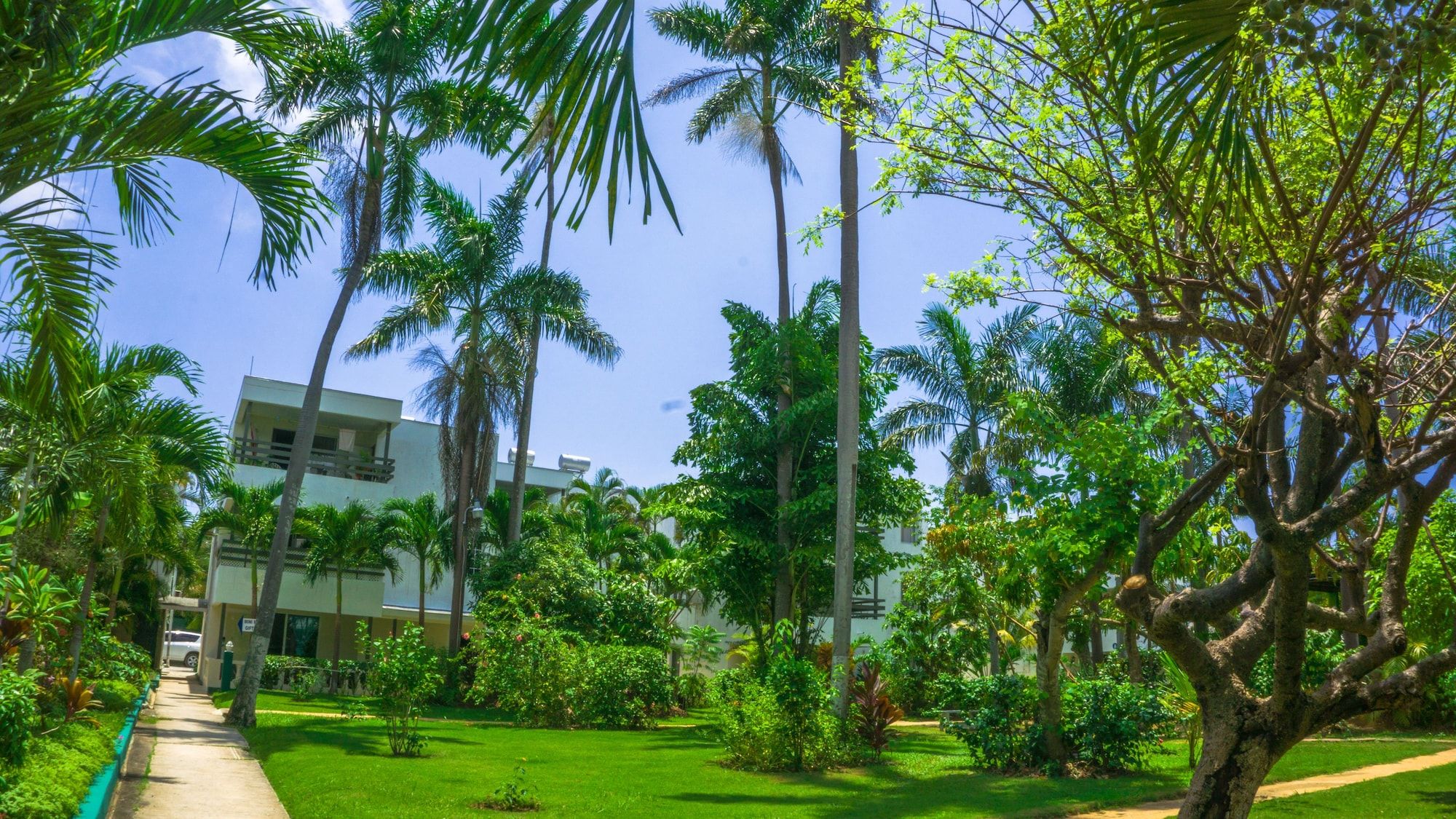Outdoor view