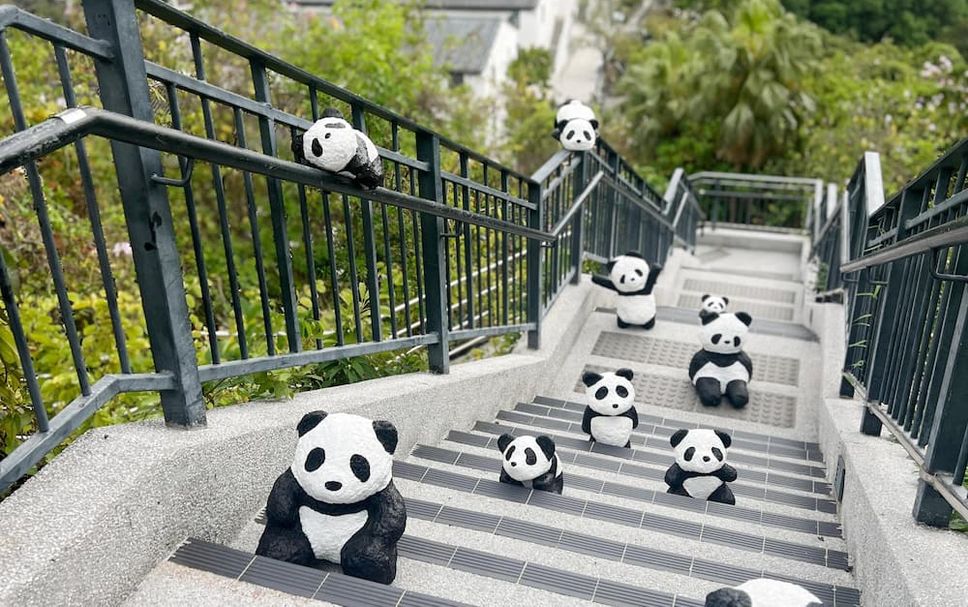 Stairs Photo