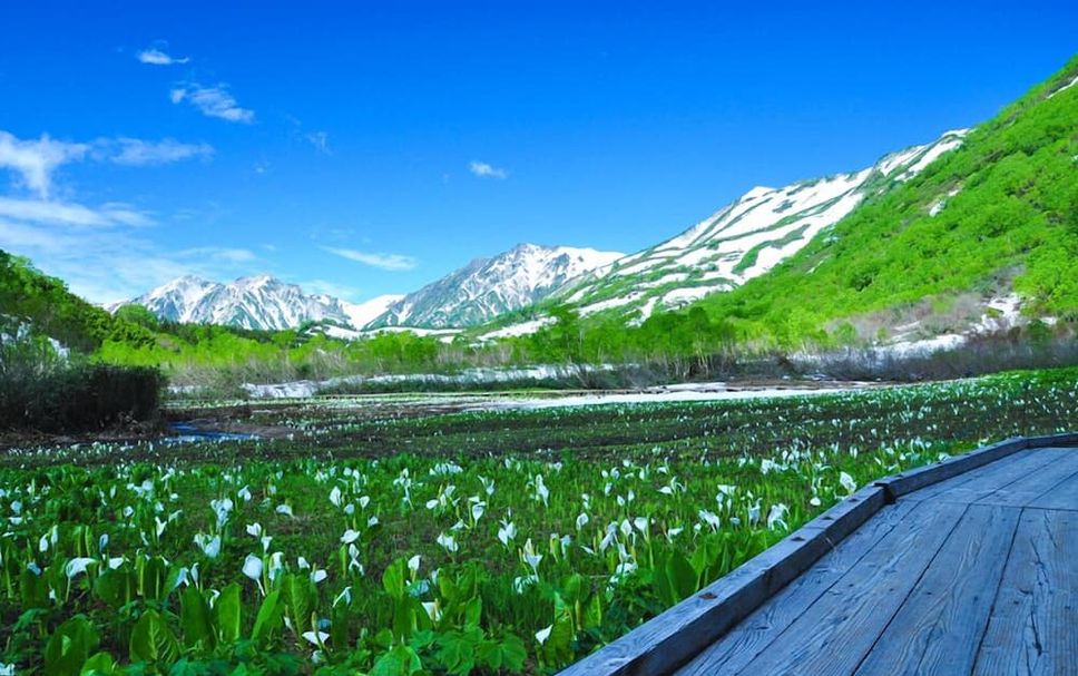 Outdoor view Photo