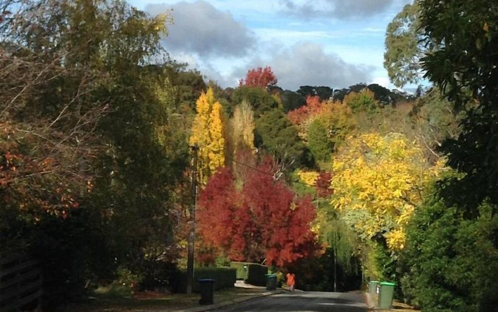 Outdoor view Photo