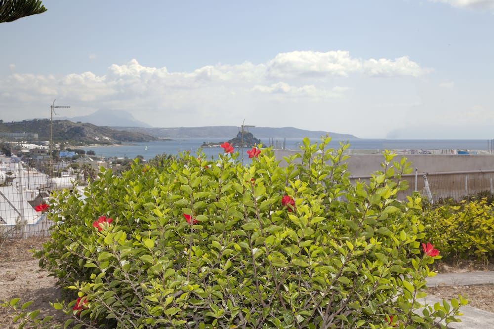 Outdoor view