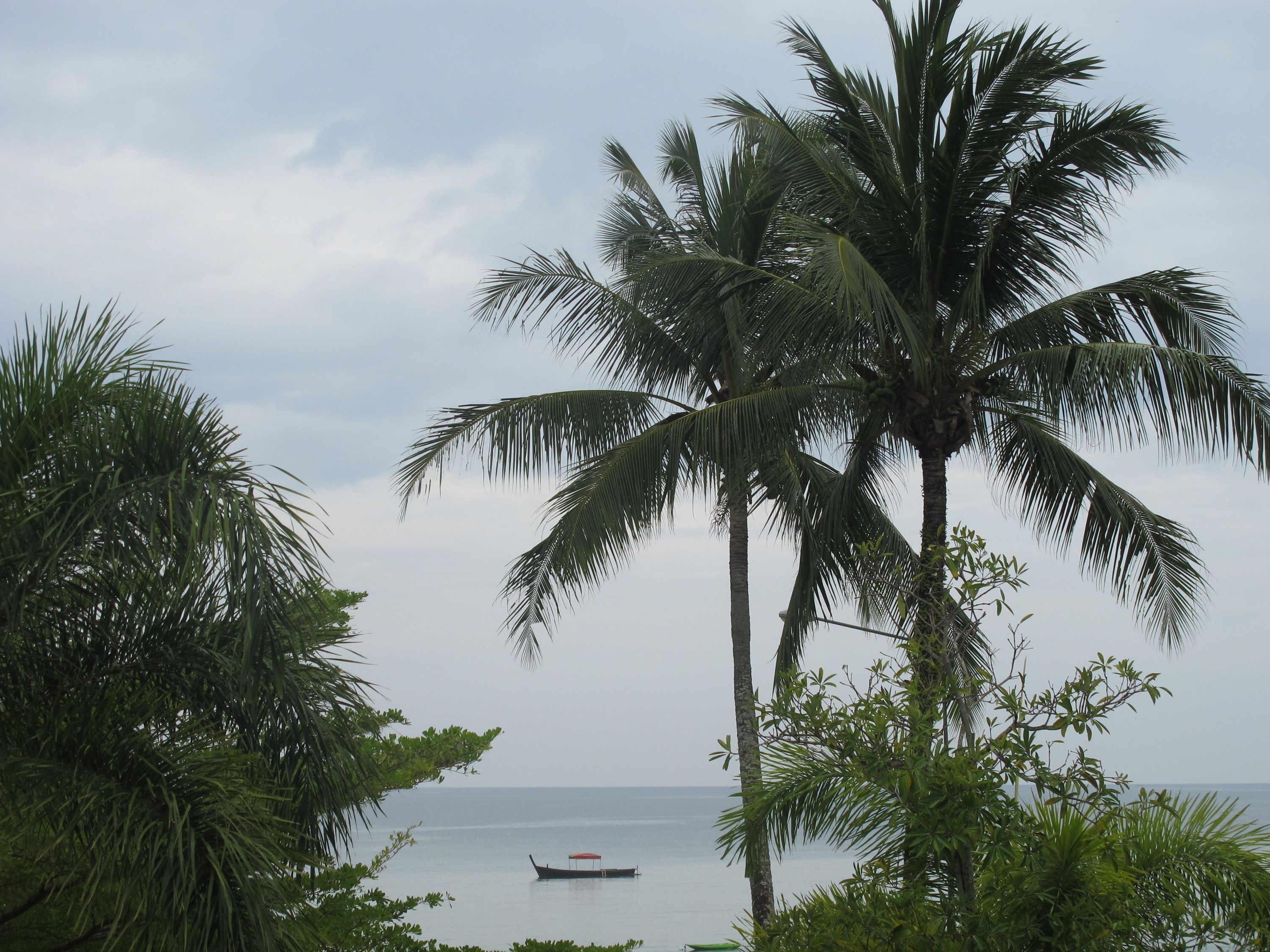 Outdoor view