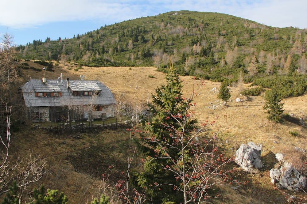 Outdoor view