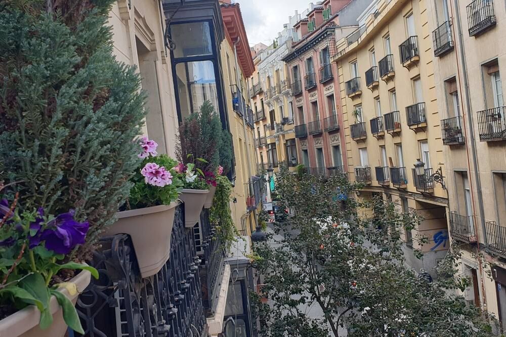 Outdoor view