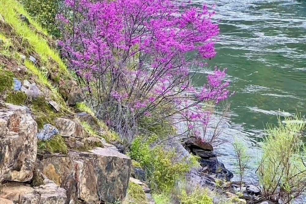 Outdoor view