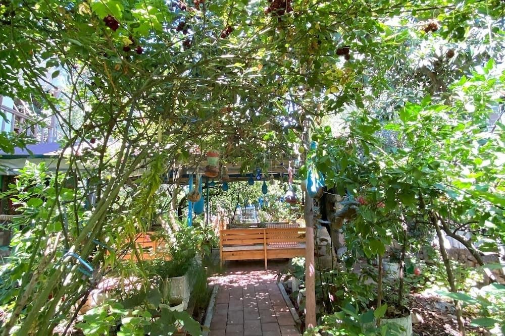 Outdoor view