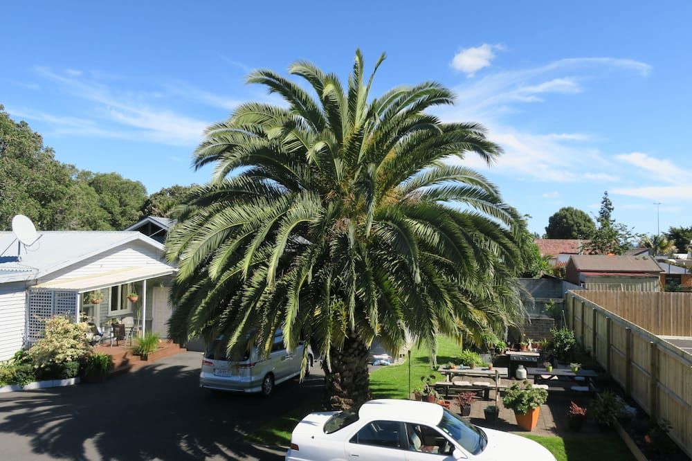 Outdoor view