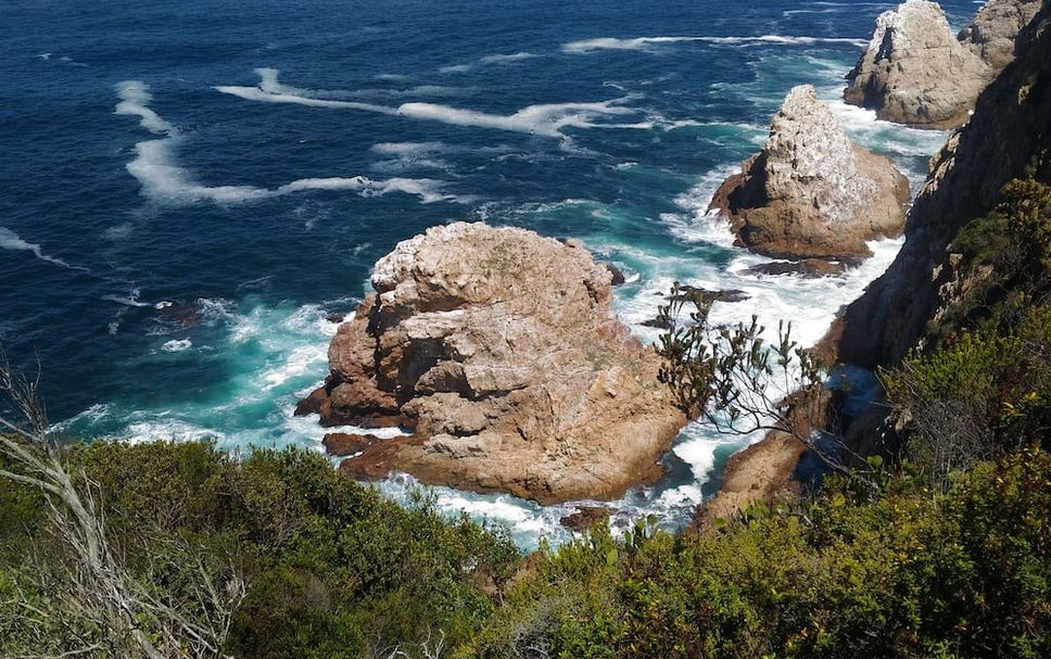 Other Photo