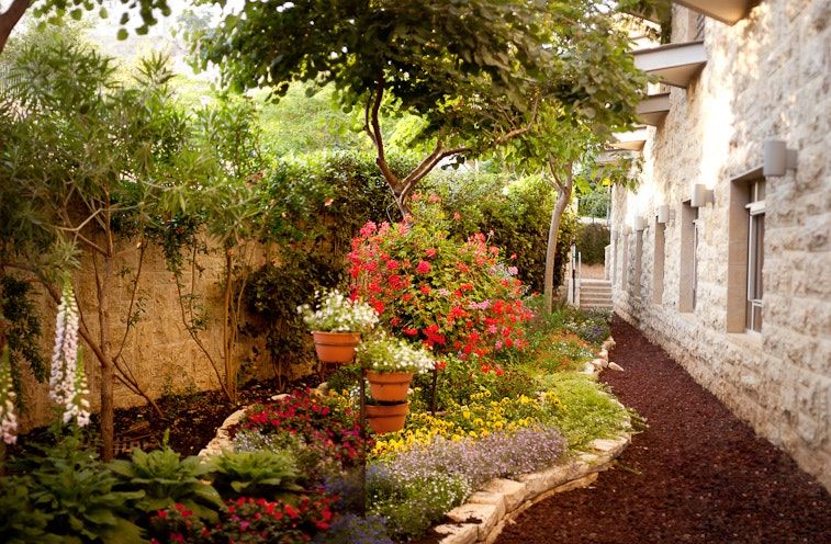 Outdoor view