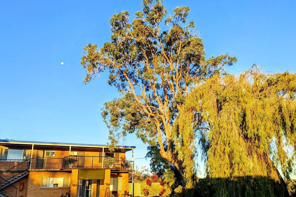 Outdoor view