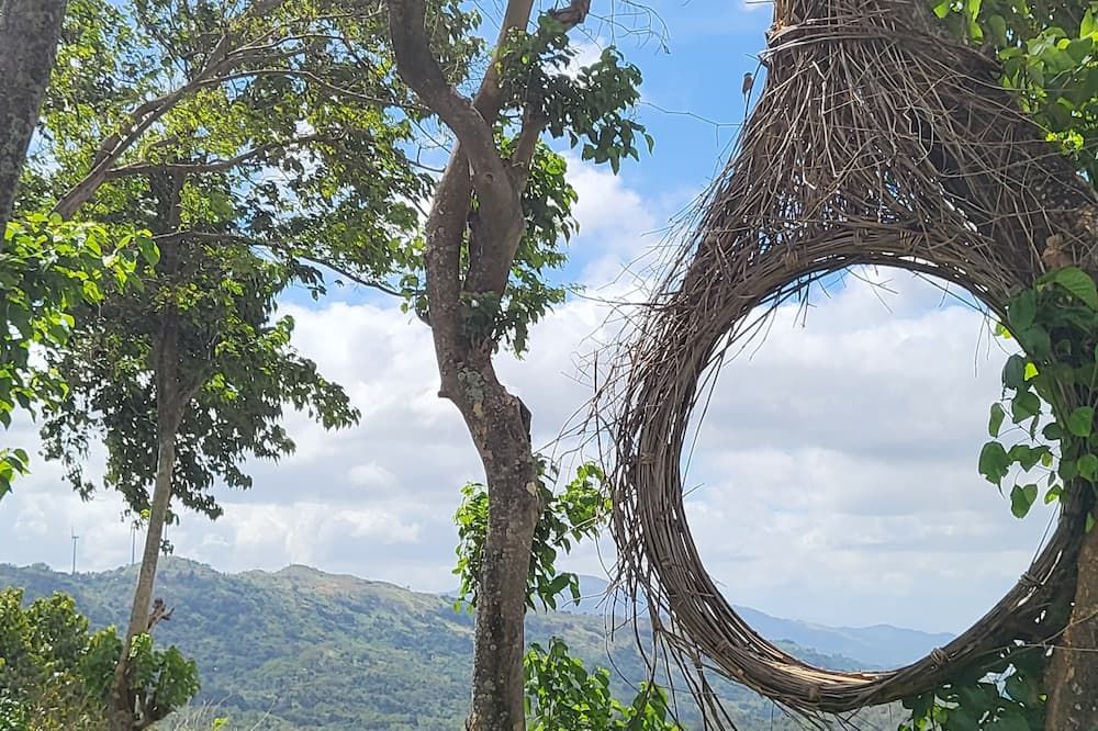 Outdoor view