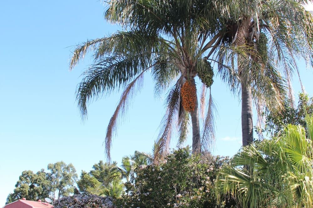 Outdoor view