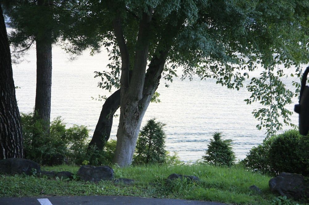 Outdoor view