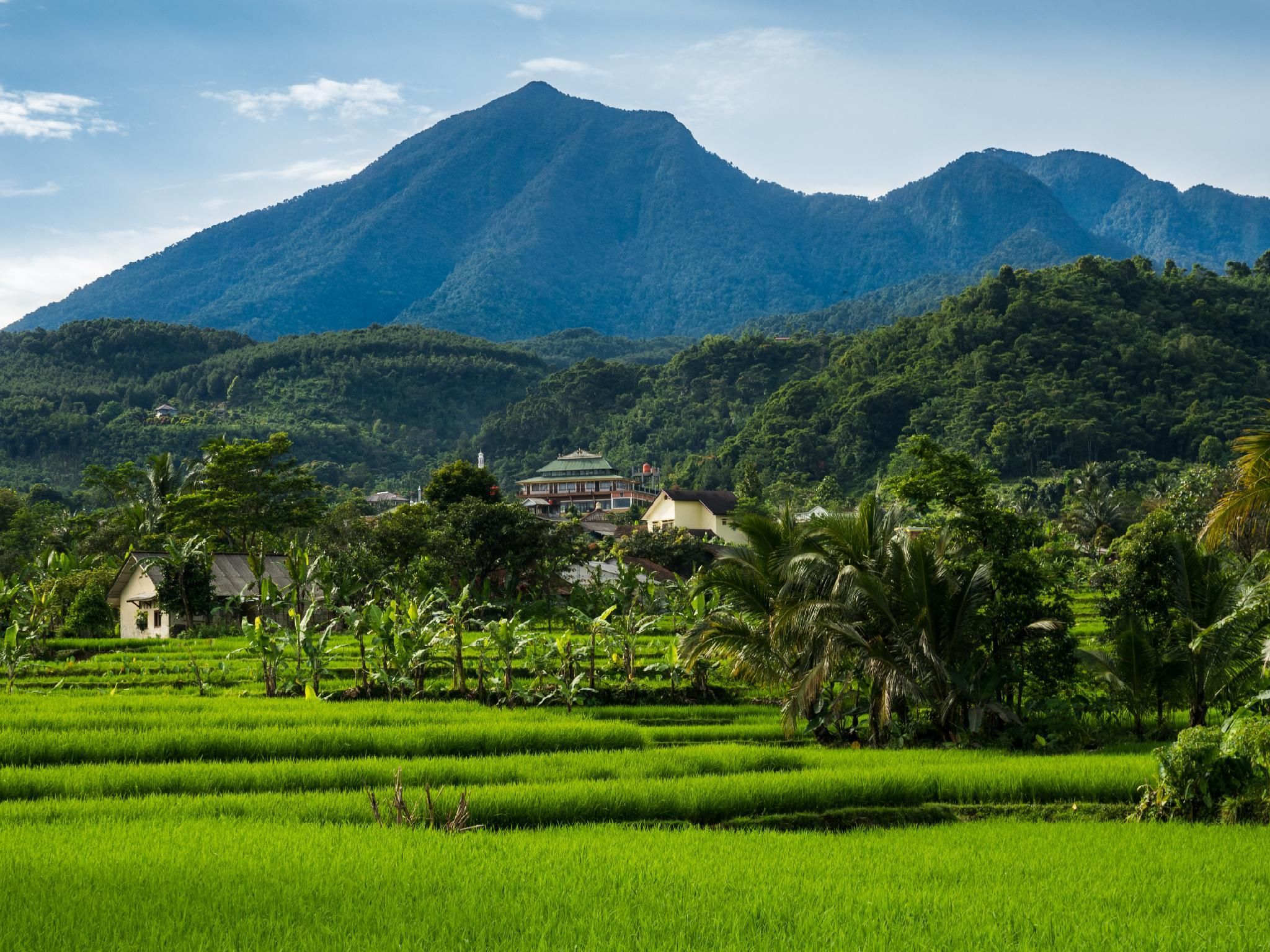 Outdoor view