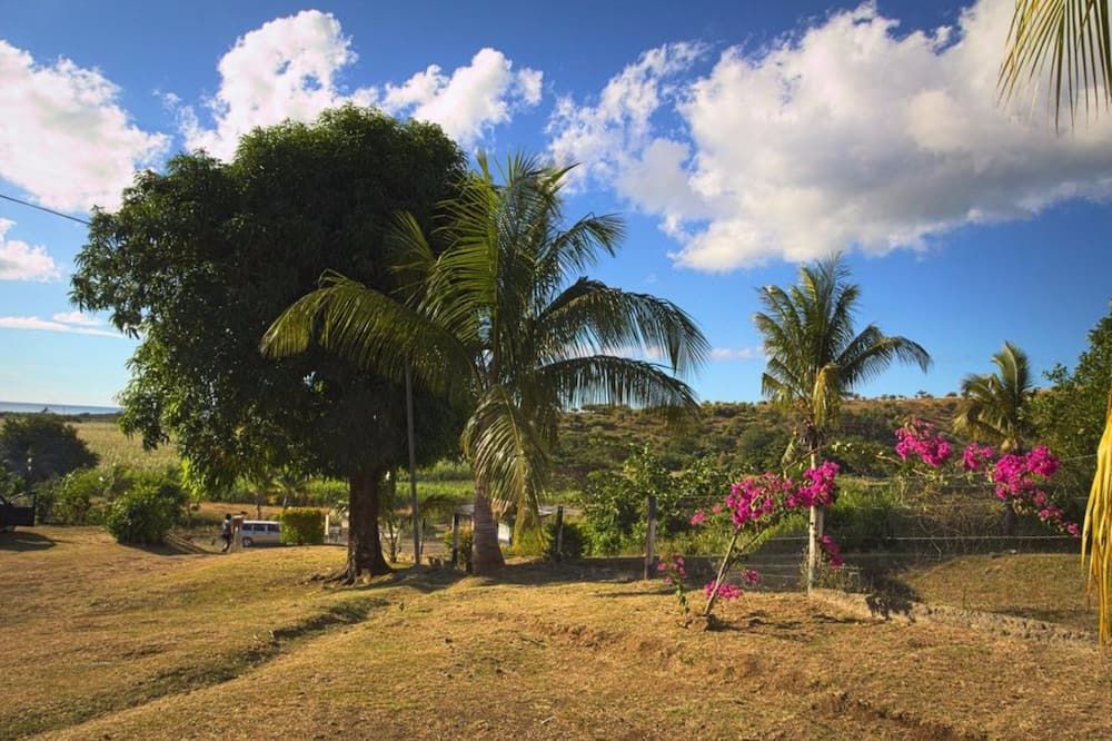 Outdoor view