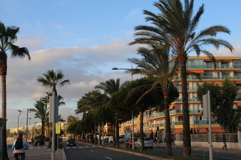 Outdoor view