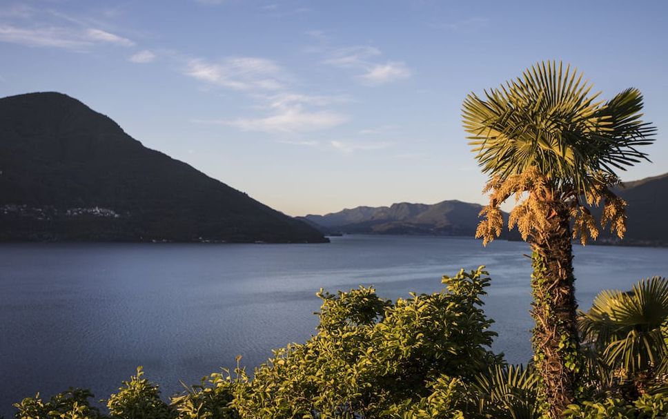 Other Photo