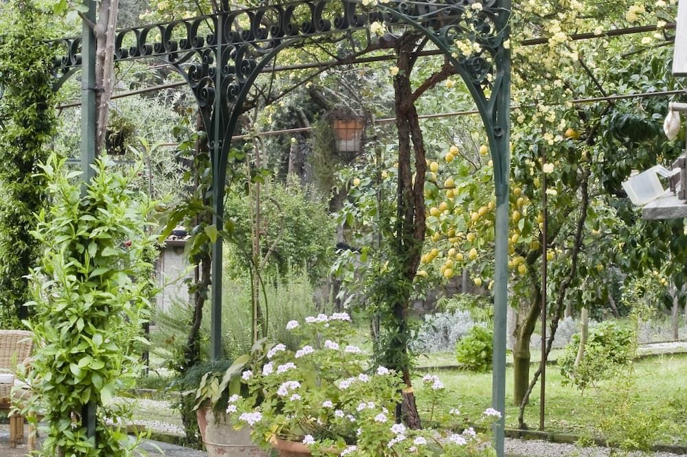 Outdoor view