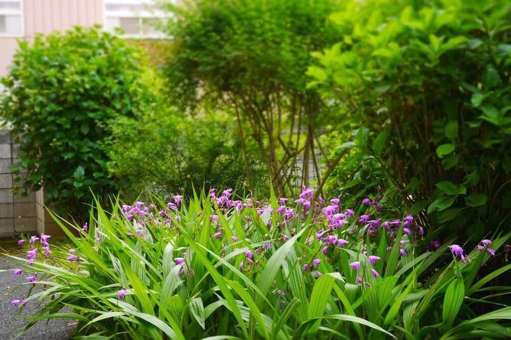Outdoor view