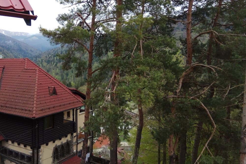 Outdoor view