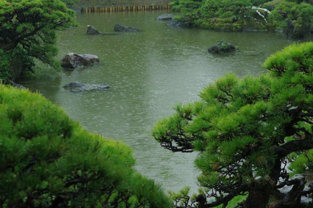 Outdoor view