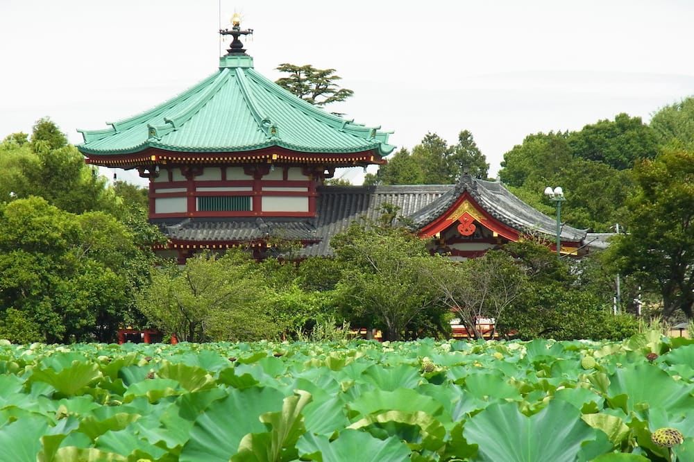 Outdoor view