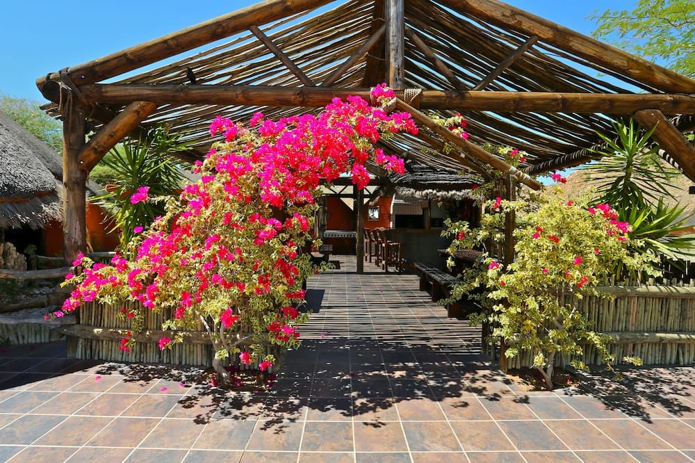 Outdoor view