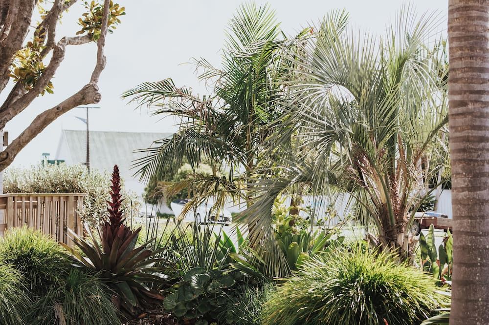 Outdoor view