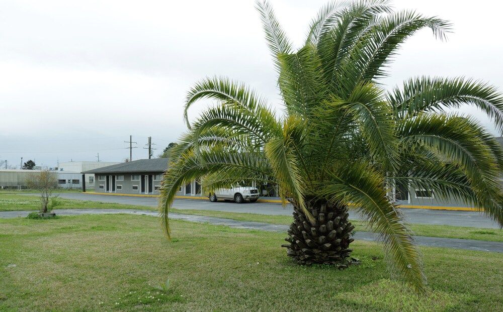 Outdoor view