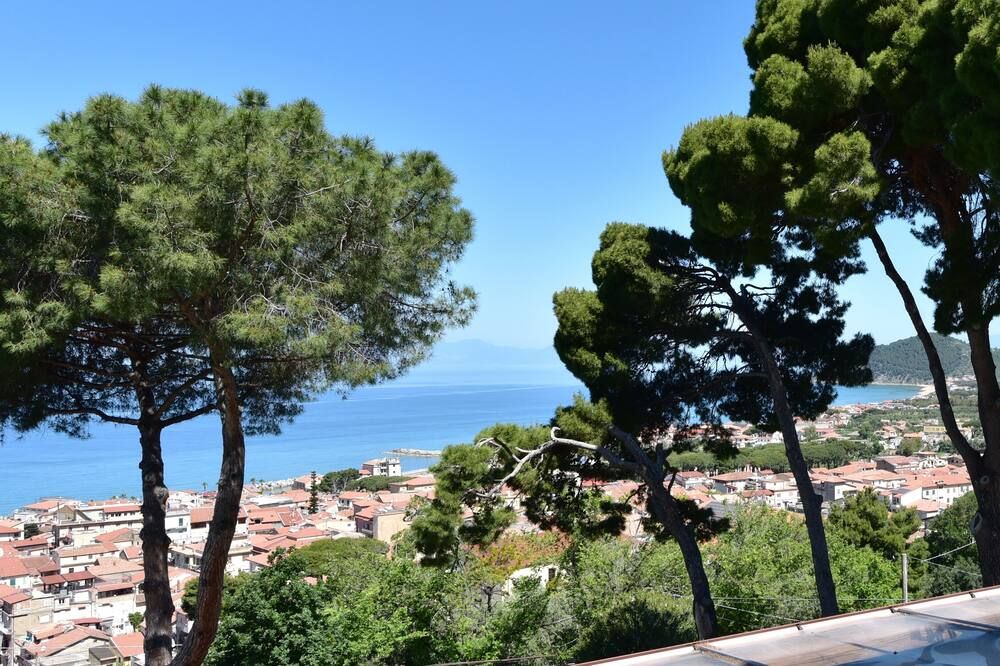 Outdoor view