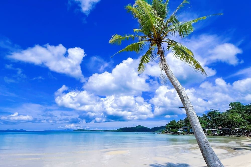 Beach Photo