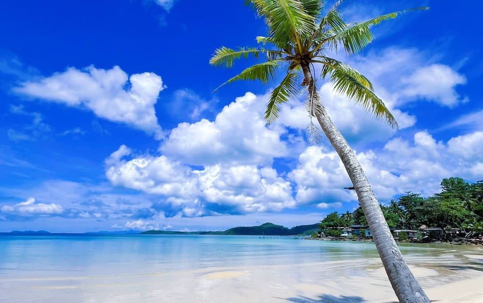 Beach Photo