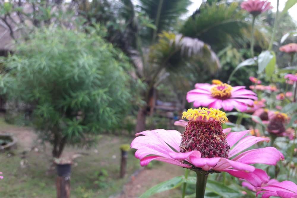 Outdoor view