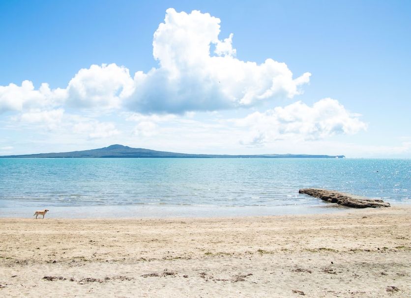 Beach Photo