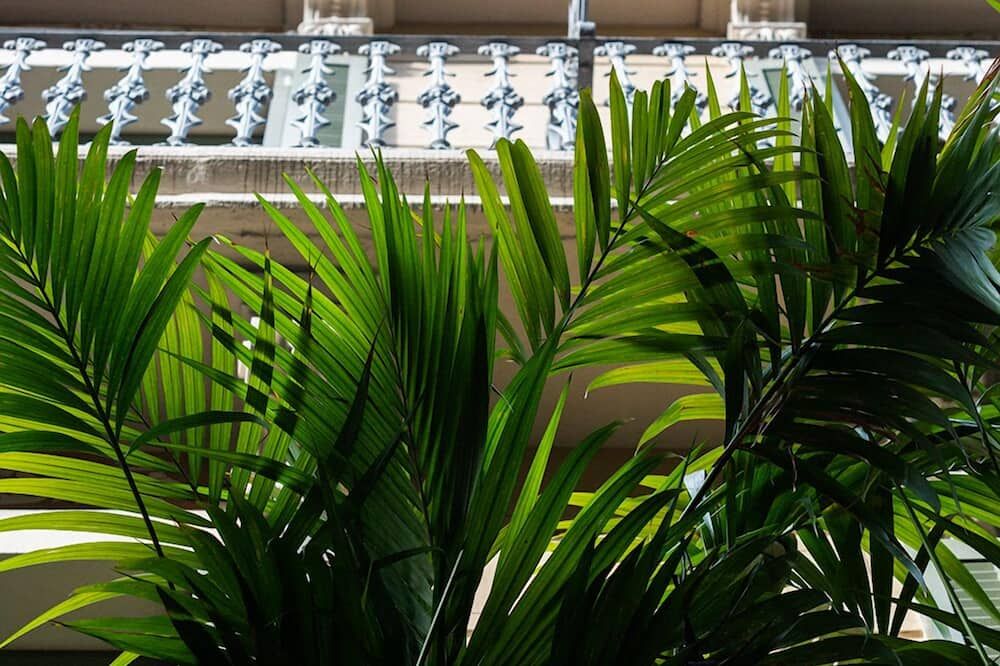 Outdoor view