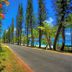 Outdoor view