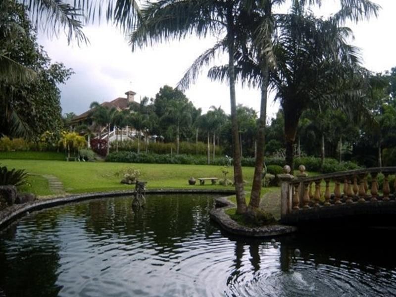 Outdoor view