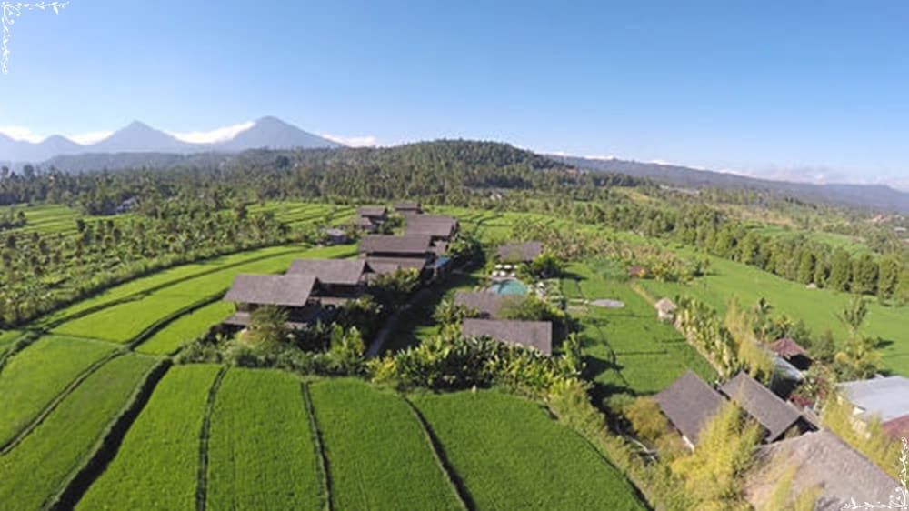 Outdoor view