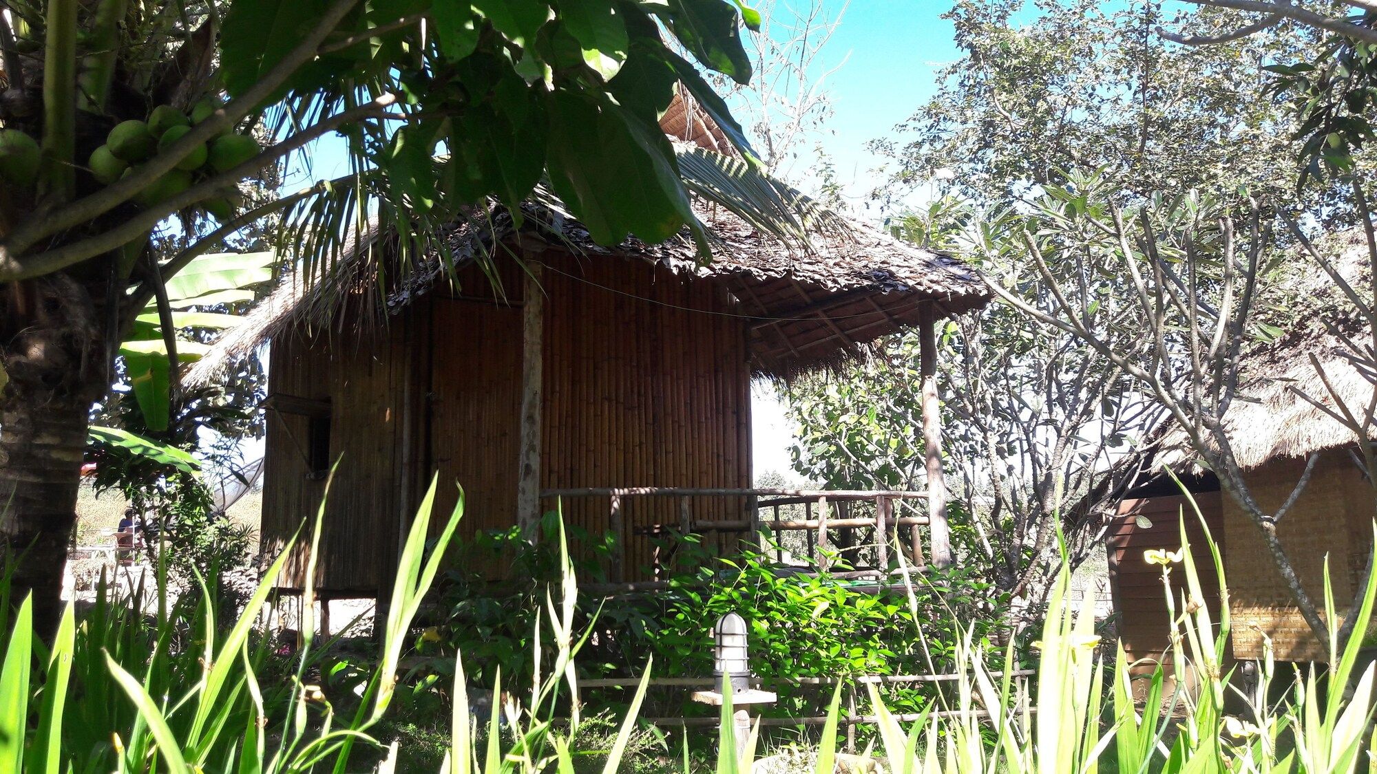 Outdoor view