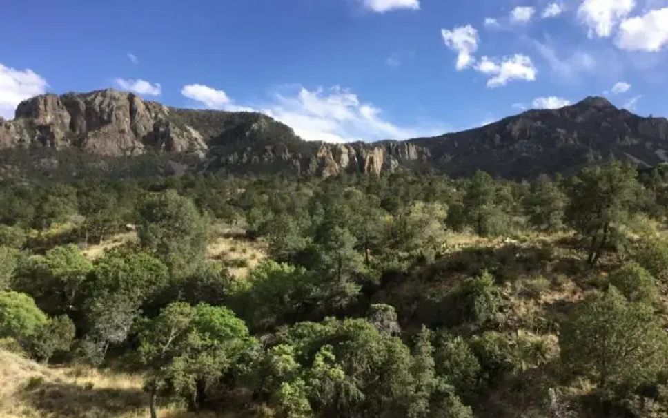 Outdoor view Photo