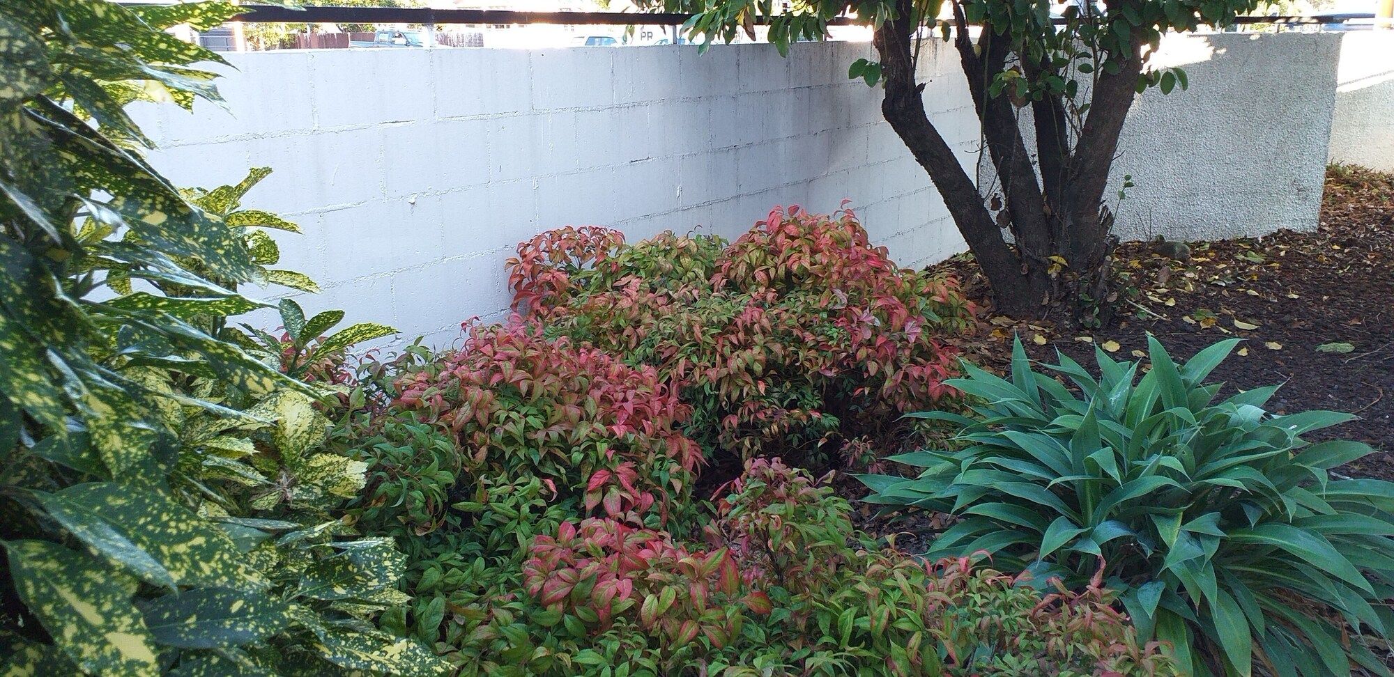 Outdoor view
