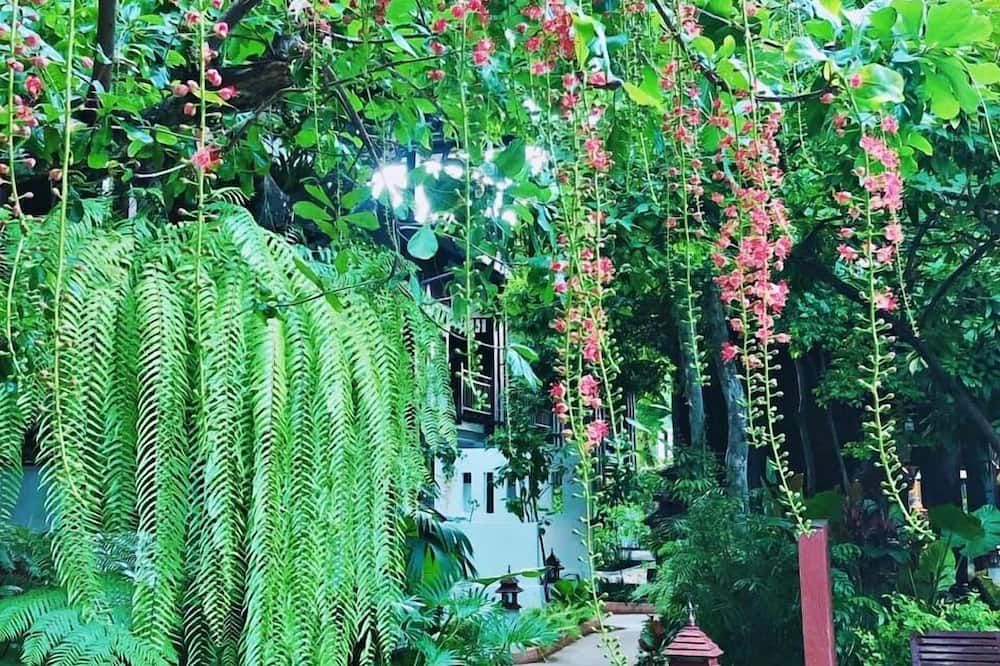 Outdoor view