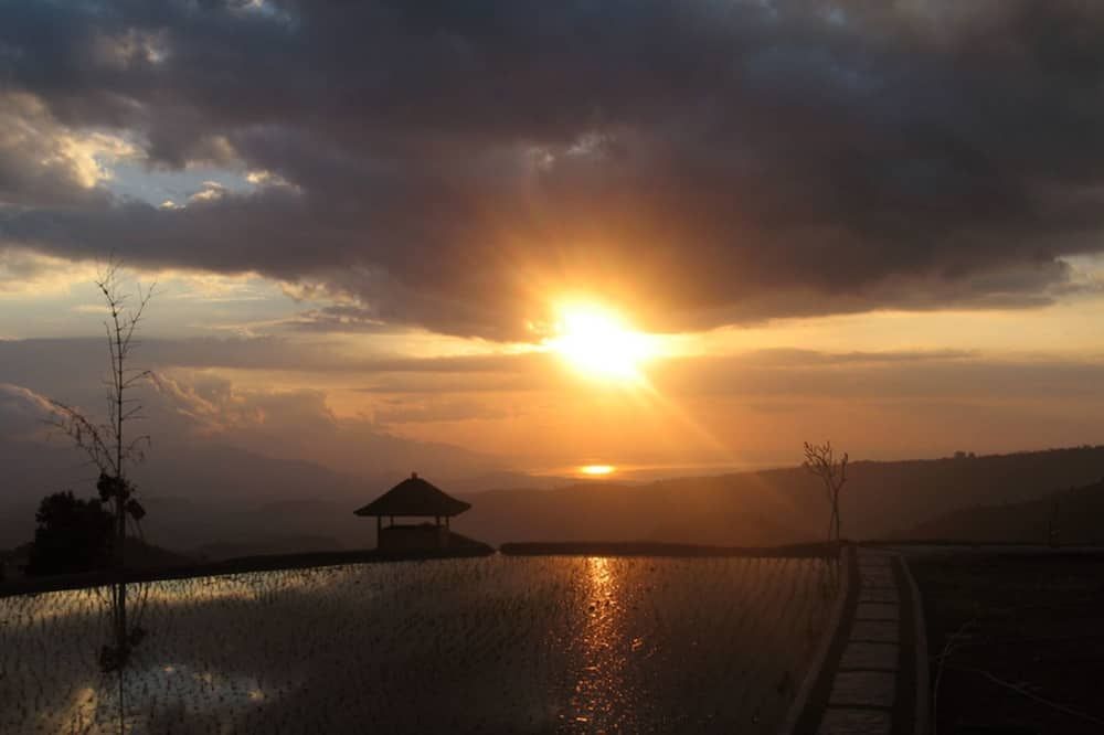 Outdoor view